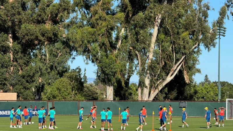 Seleção abre treino para convidados, e Dorival não faz mudanças na equipe