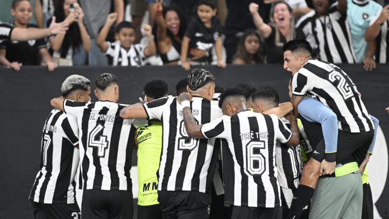 Botafogo tem atuação de líder na bola e na tabela