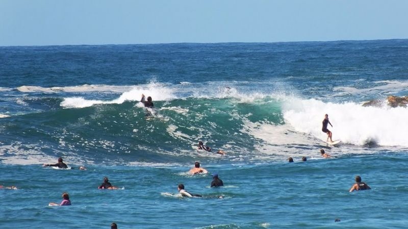 O crowd no Surfe: oportunidades e desafios do esporte em crescimento