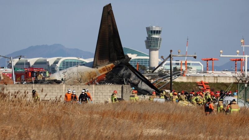 Alerta de pássaros, emergência e aterrissagem sem trem de pouso: os eventos que levaram ao pior desastre aéreo da Coreia do Sul