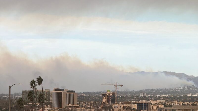 ‘Não tem ninguém na rua, está meio apocalíptico’, diz brasileira ao chegar a Los Angeles em meio a incêndio