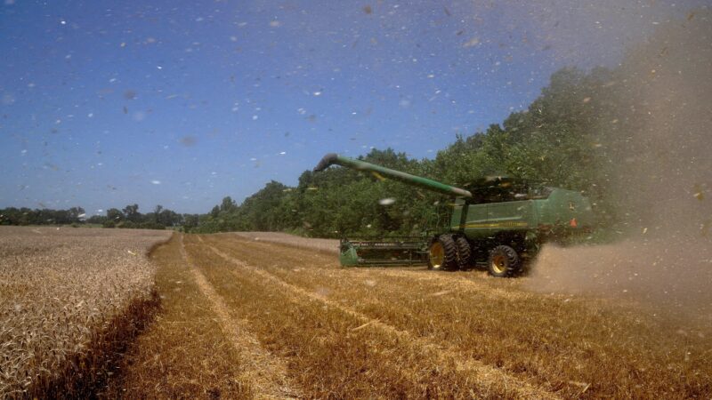 ‘Calamidade’: fazendeiros dos EUA enfrentam crise após tarifaço e pedem ajuda ao governo