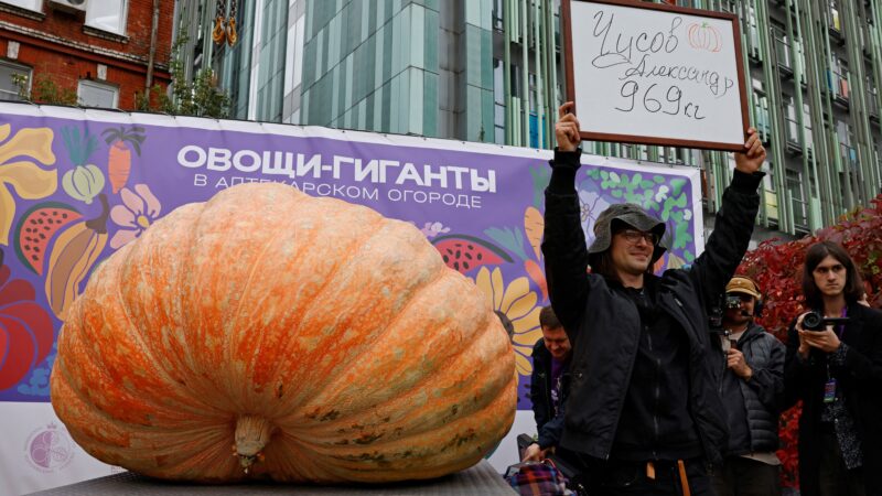 VÍDEO: abóbora gigante de quase 1 tonelada é erguida por guindaste em festival na Rússia