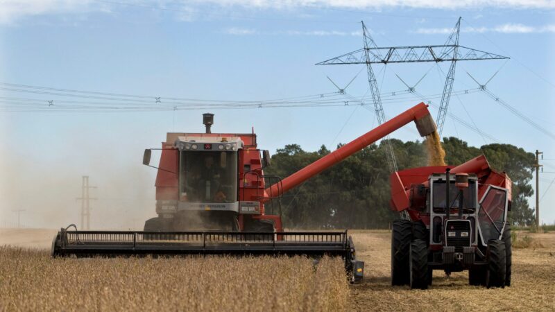 China sinaliza que compra de soja dos EUA depende da remoção de tarifas ‘irracionais’