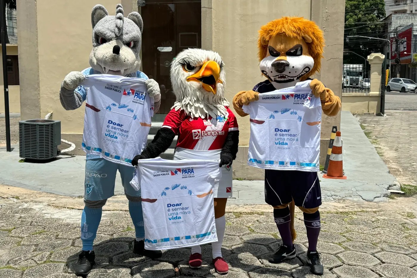 Setembro Verde: Mascotes de Remo, Paysandu e Tuna visitam crianças em tratamento na Santa Casa