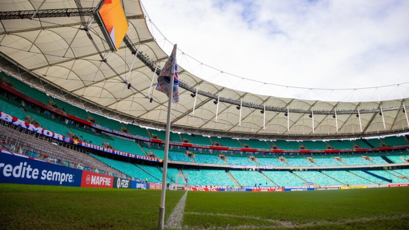 Bahia x Palmeiras: onde assistir ao vivo, horário e escalações