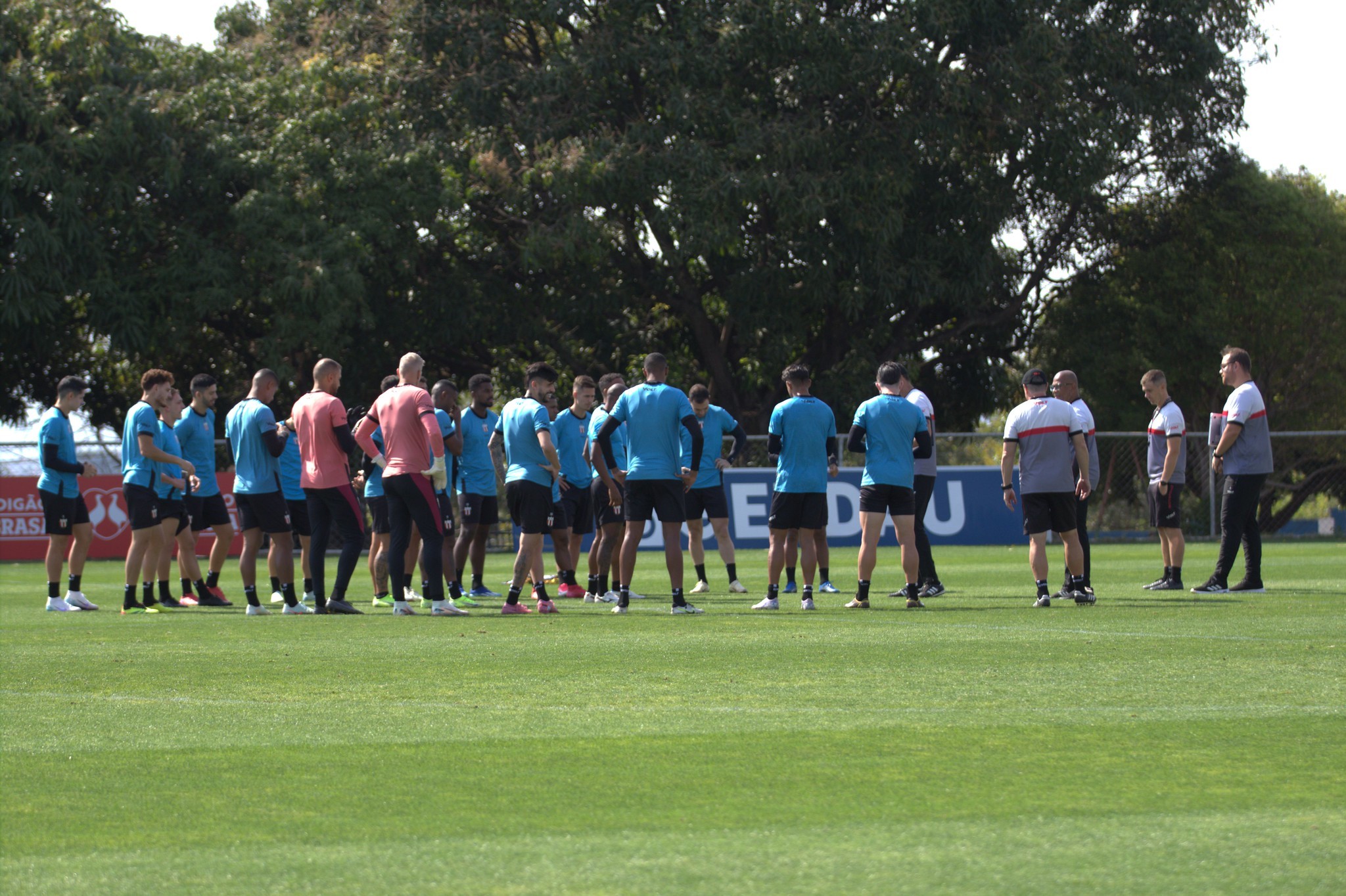 Pressionado, Botafogo-SP mira aproveitamento de 53% em reta final da Série B