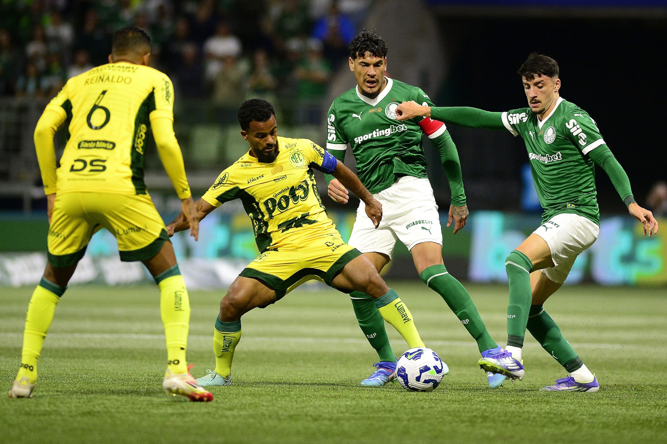 Mirassol enfrentará o Palmeiras no dia do seu centenário