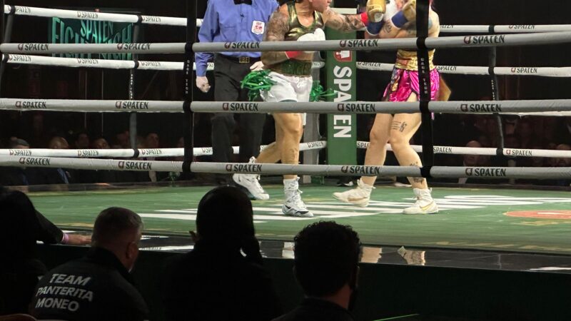 Popó x Wanderlei: Bia Ferreira vence Maira Moneo e mantém cinturão mundial