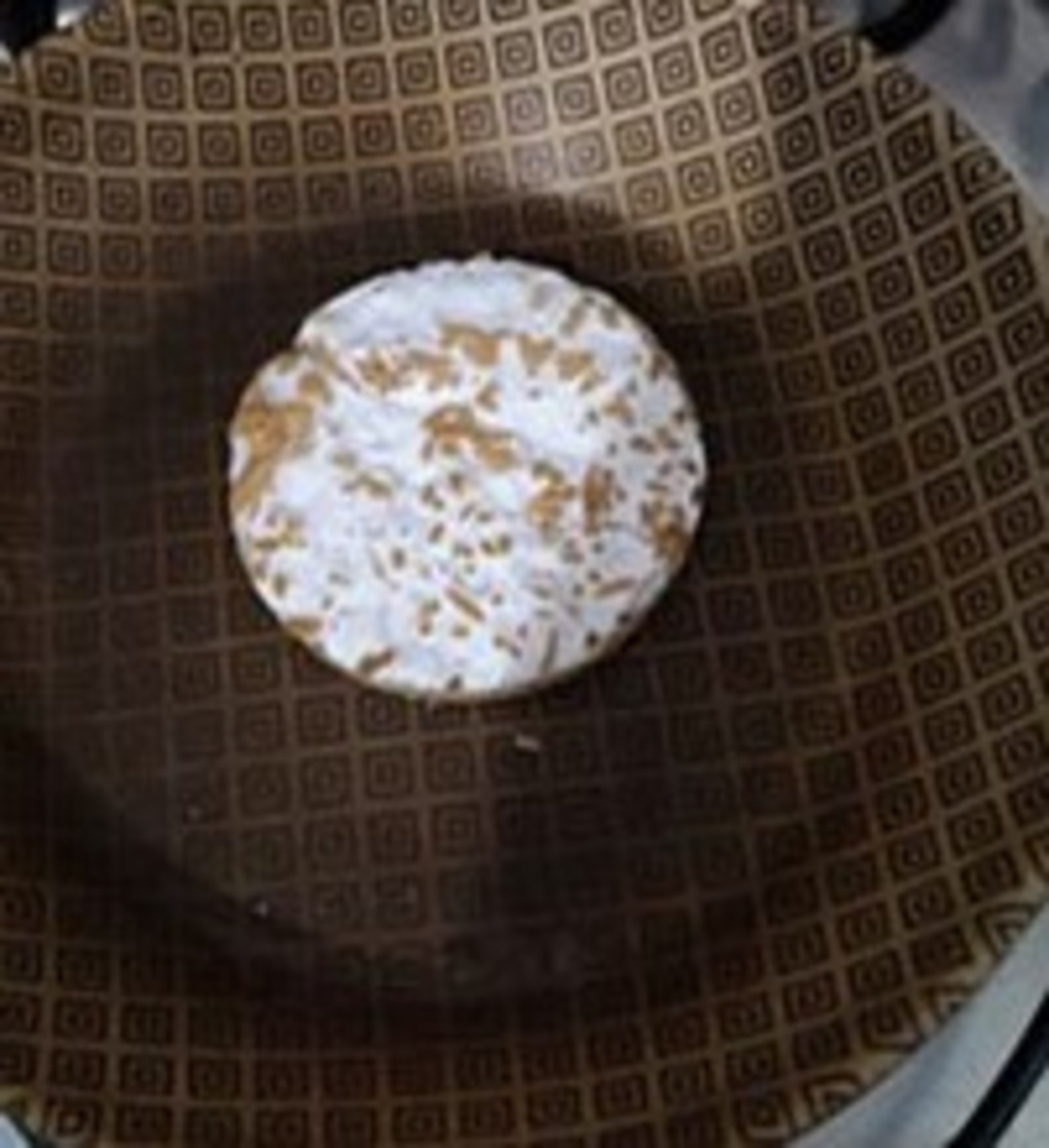 Trocaria carne por fungo? Pesquisa mostra que ‘novo alimento’ pode ser alternativa no futuro