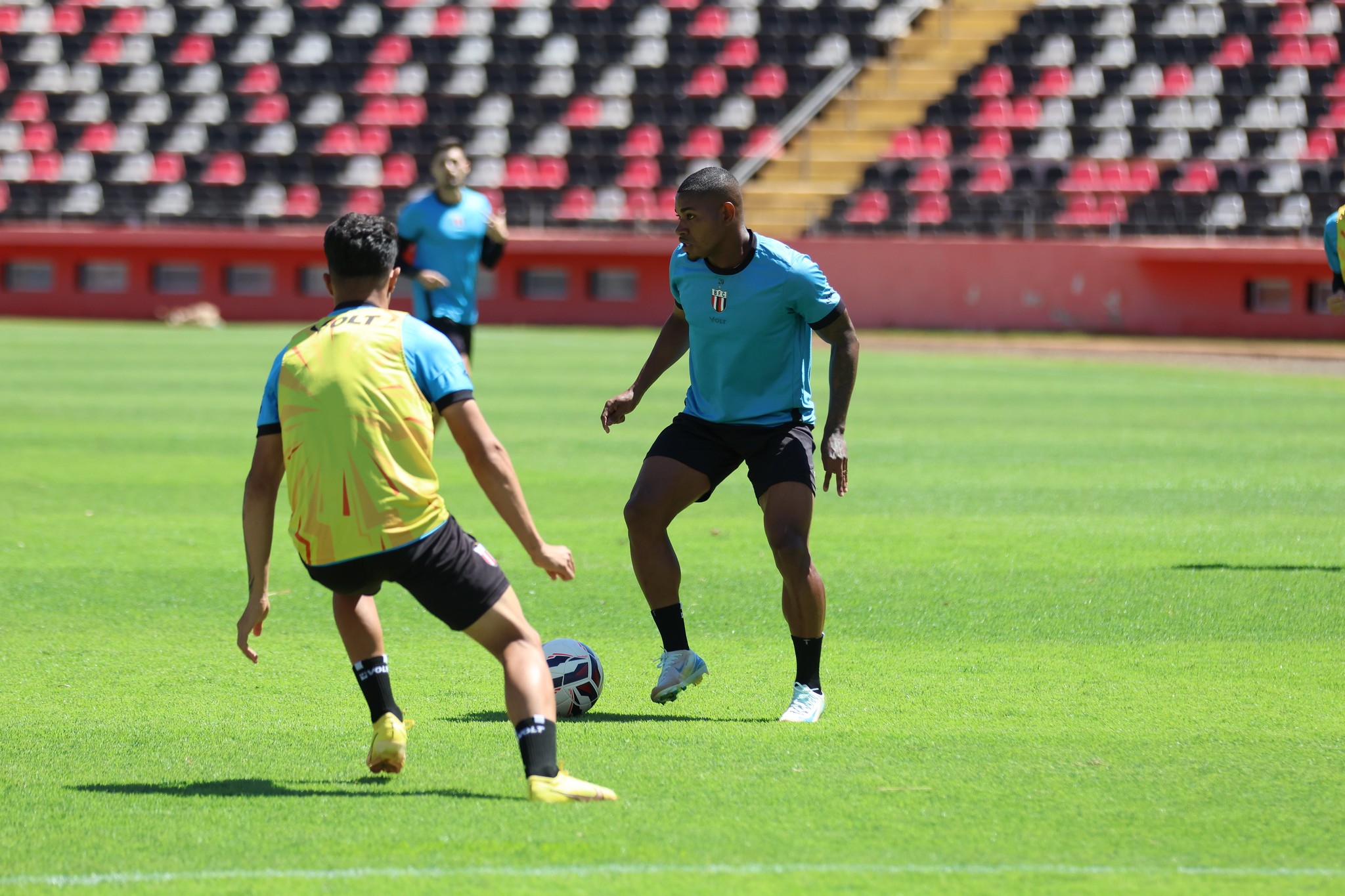 Botafogo-SP inicia preparação para jogo que pode o tirar do Z-4
