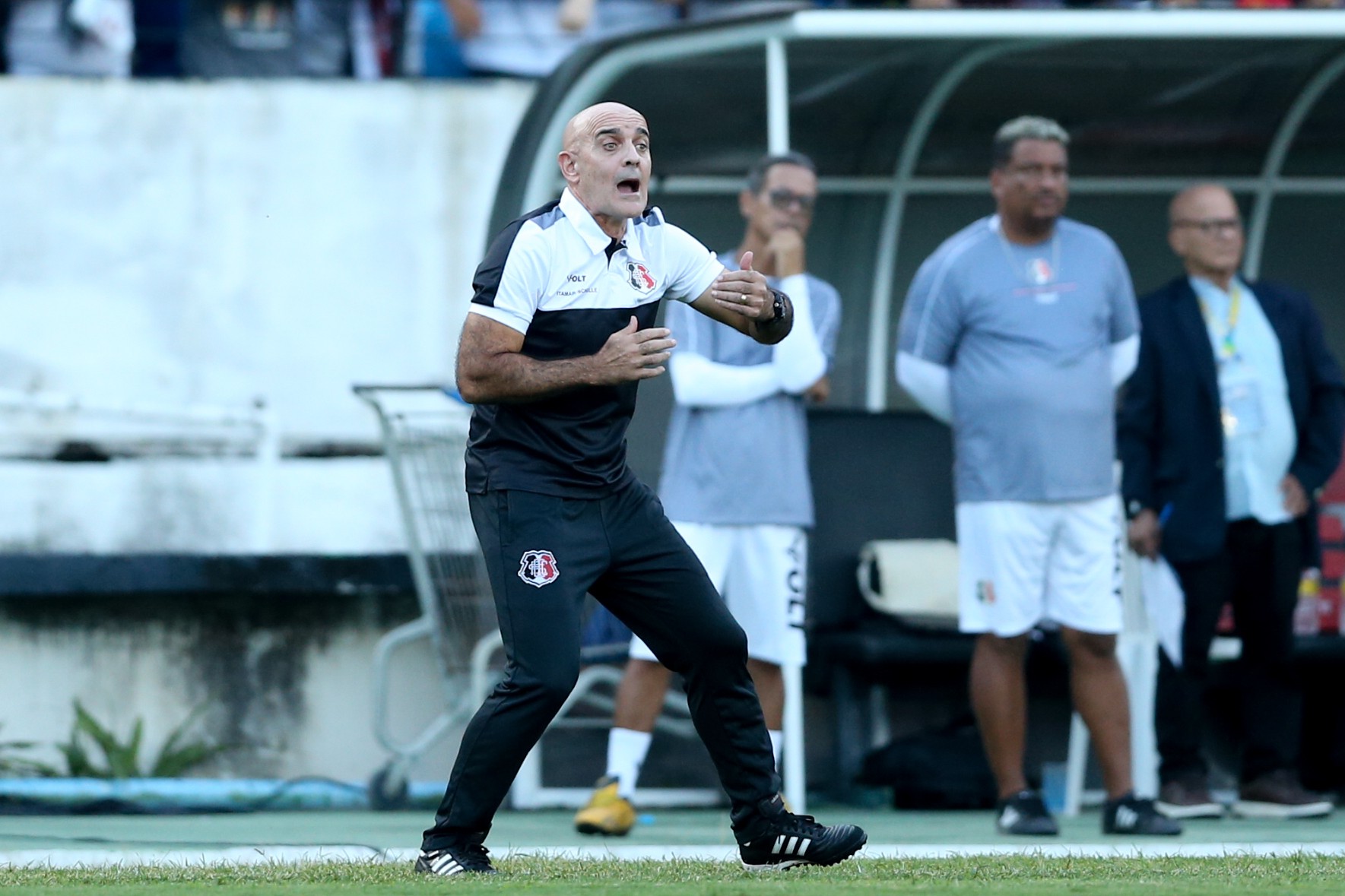 CSA anuncia a contratação do técnico Itamar Schülle, ex-Santa Cruz