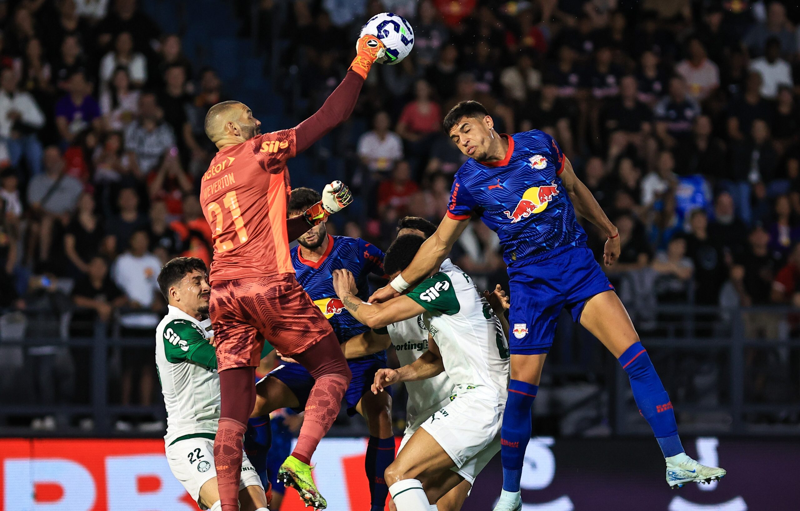 Palmeiras x Bragantino: Alviverde tem vantagem em retrospecto recente contra o Massa Bruta