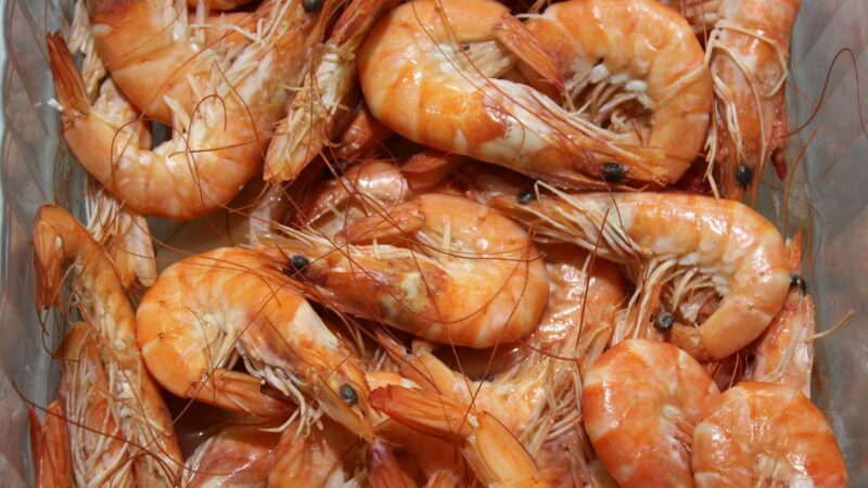 Compra de camarões radioativos pelos EUA: Indonésia reforça controles em áreas produtivas após detecção