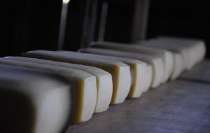 Segredo do delicioso sabor do queijo serrano pode ter sido descoberto por cientistas