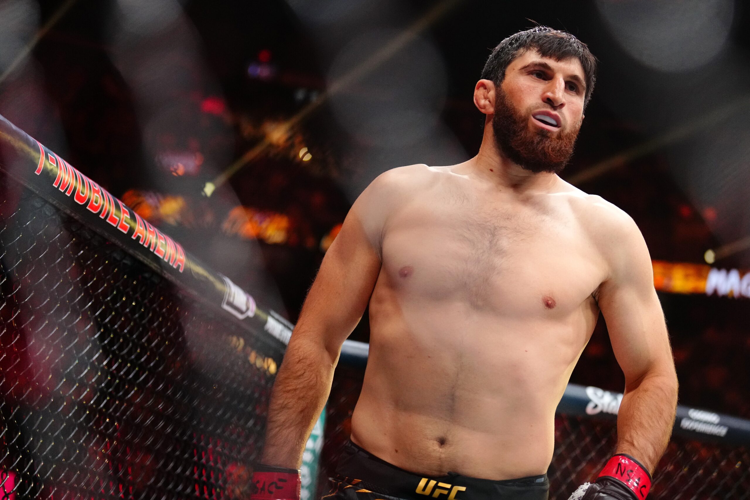 Ankalaev teria lesionado costela antes de revanche contra Poatan, diz site