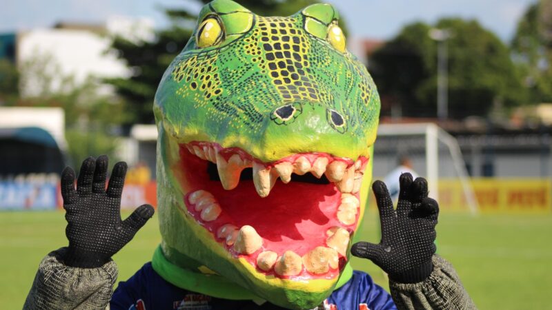 Altos tem 19 peças acertados e quer fechar lista com 28 nomes; saiba quantos atletas por posição