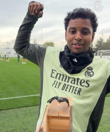 Rodrygo toma susto em Halloween do Real Madrid, e Courtois ironiza; veja