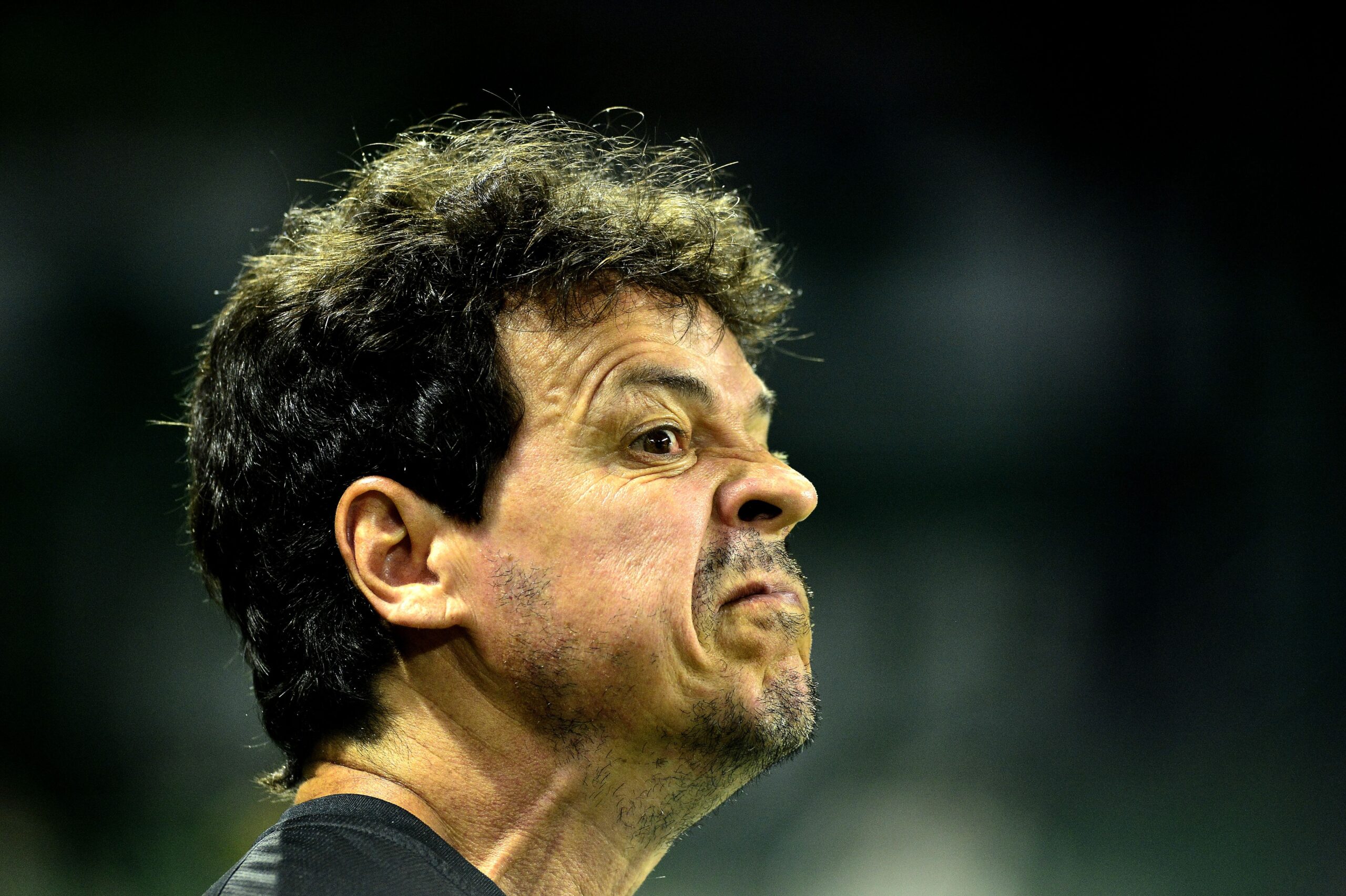 Diniz critica marcação do Vasco contra o Palmeiras: “Tiveram três chances e fizeram três gols”