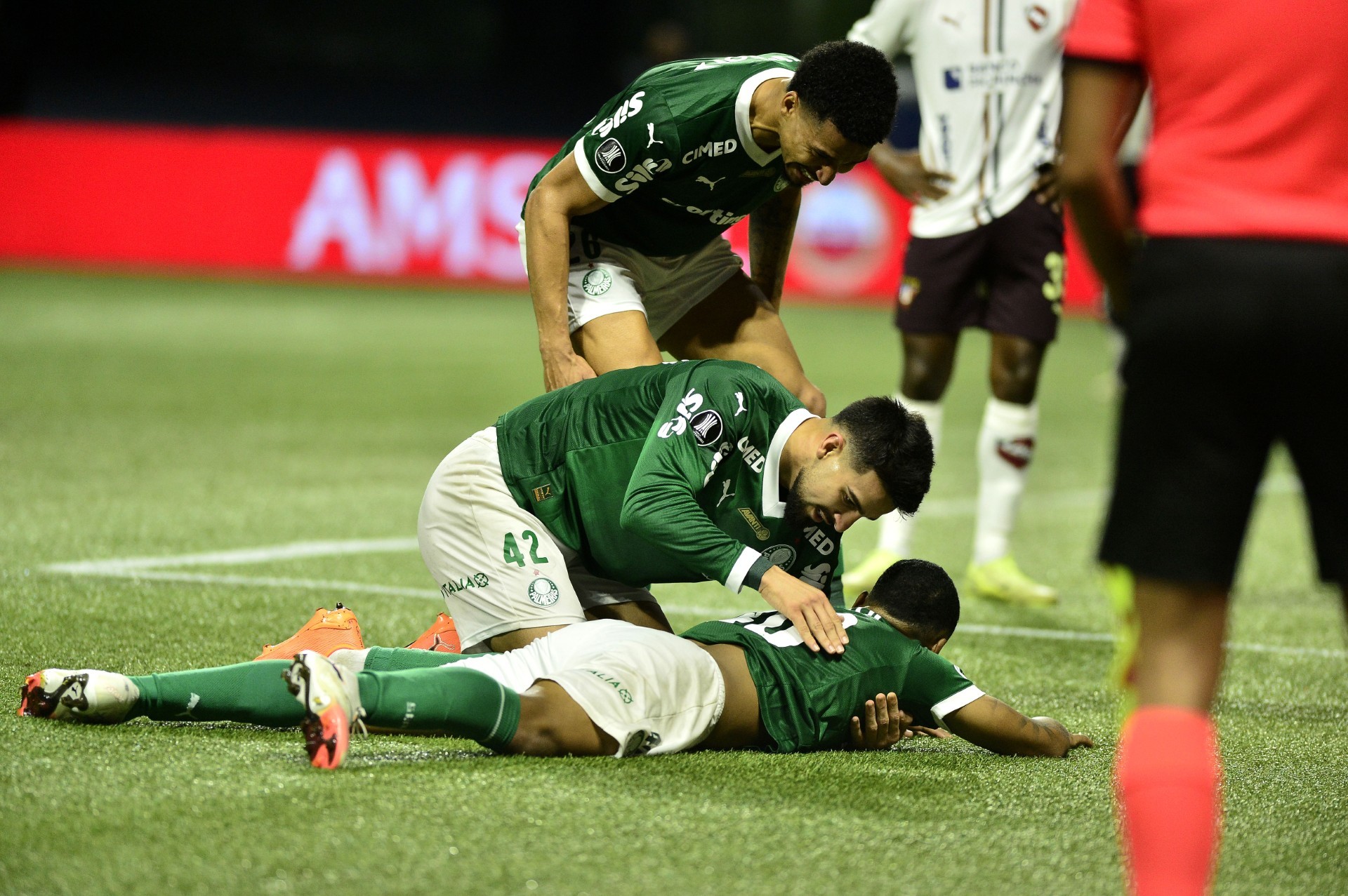 Allan festeja ótima atuação e vai ganhar aumento no Palmeiras: “Ele merece”, diz Abel