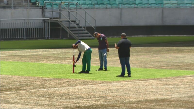 Bahia x Flamengo: Fonte Nova explica cor do gramado e garante boas condições após críticas