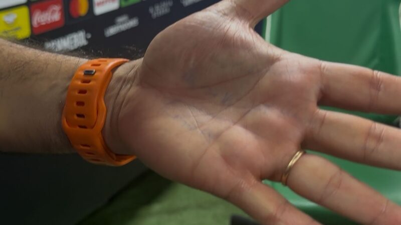 Choro, emoção e recados na mão: como Abel viveu noite mágica do Palmeiras na Libertadores