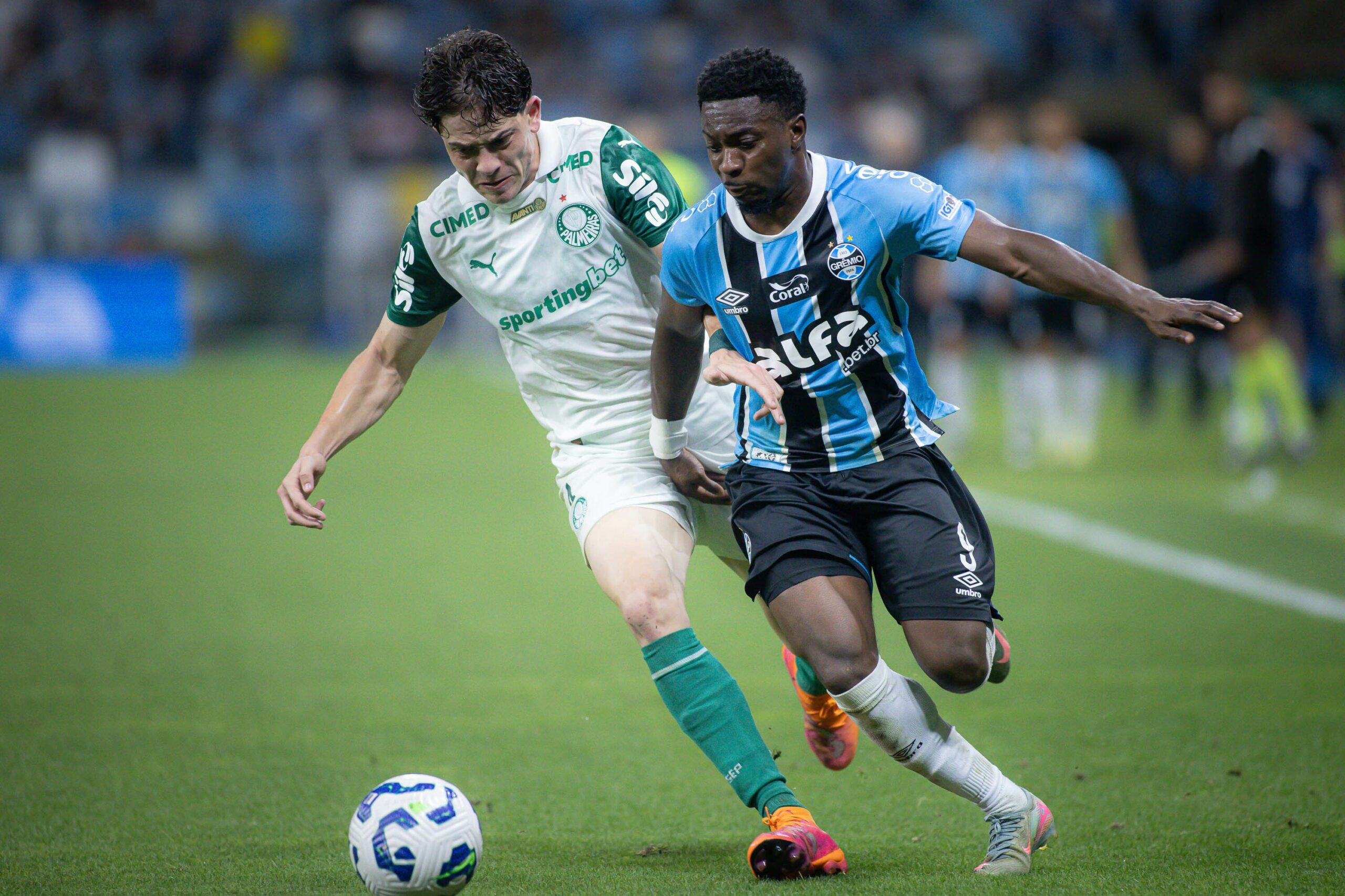 Palmeiras volta a fazer gol, mas chega para final da Libertadores sem vencer há mais de 20 dias