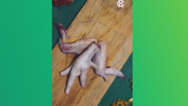 Remo ironiza queda do Paysandu com vídeo do Leão cozinhando “pé de galinha com duas asinhas”