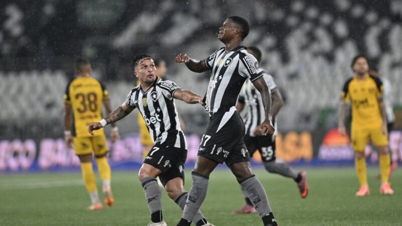 Com derrota para o Botafogo, Sport não pode mais deixar a lanterna do Campeonato Brasileiro