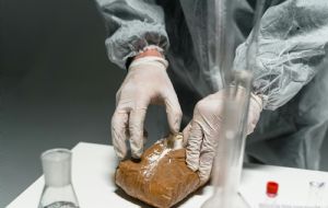 Cocaína negra, mais cara e difícil de detectar, é apreendida em mansão da Ponta Negra, em Manaus-AM