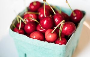 Autoridade Sanitária destrói mais de uma tonelada de cerejas após identificar elevado risco