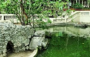 CENAS FORTES: Homem é morto por leoa após invadir jaula em zoológico