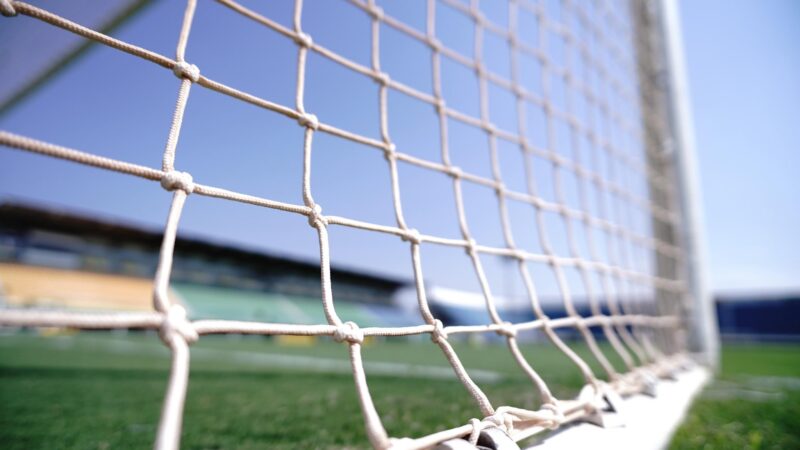 Mirassol x Botafogo: onde assistir ao vivo, horário e escalações