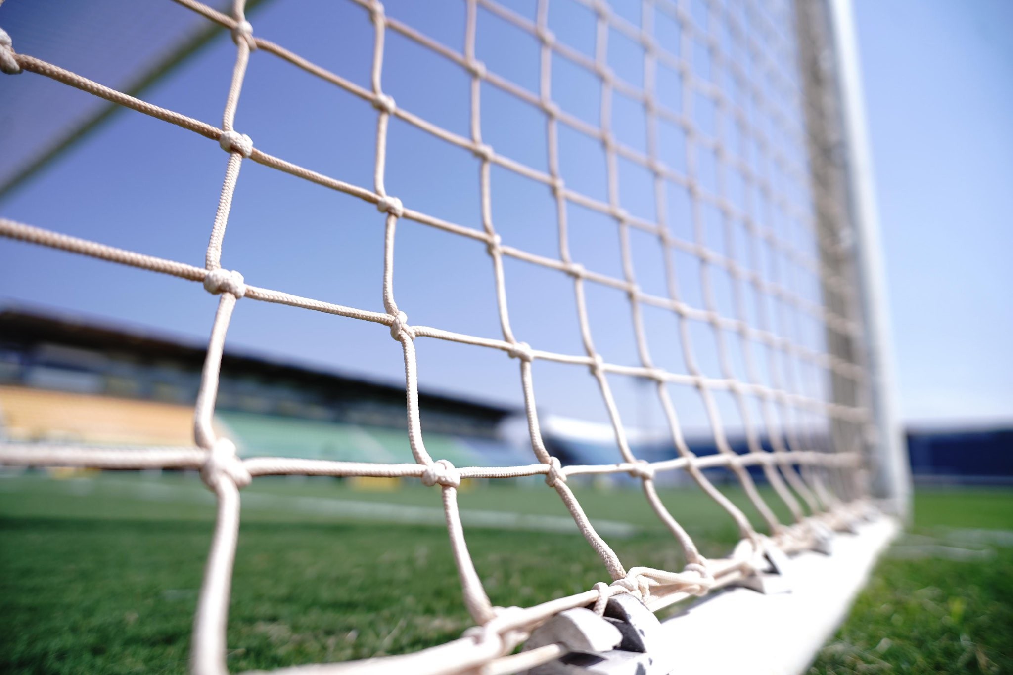 Mirassol x Botafogo: onde assistir ao vivo, horário e escalações