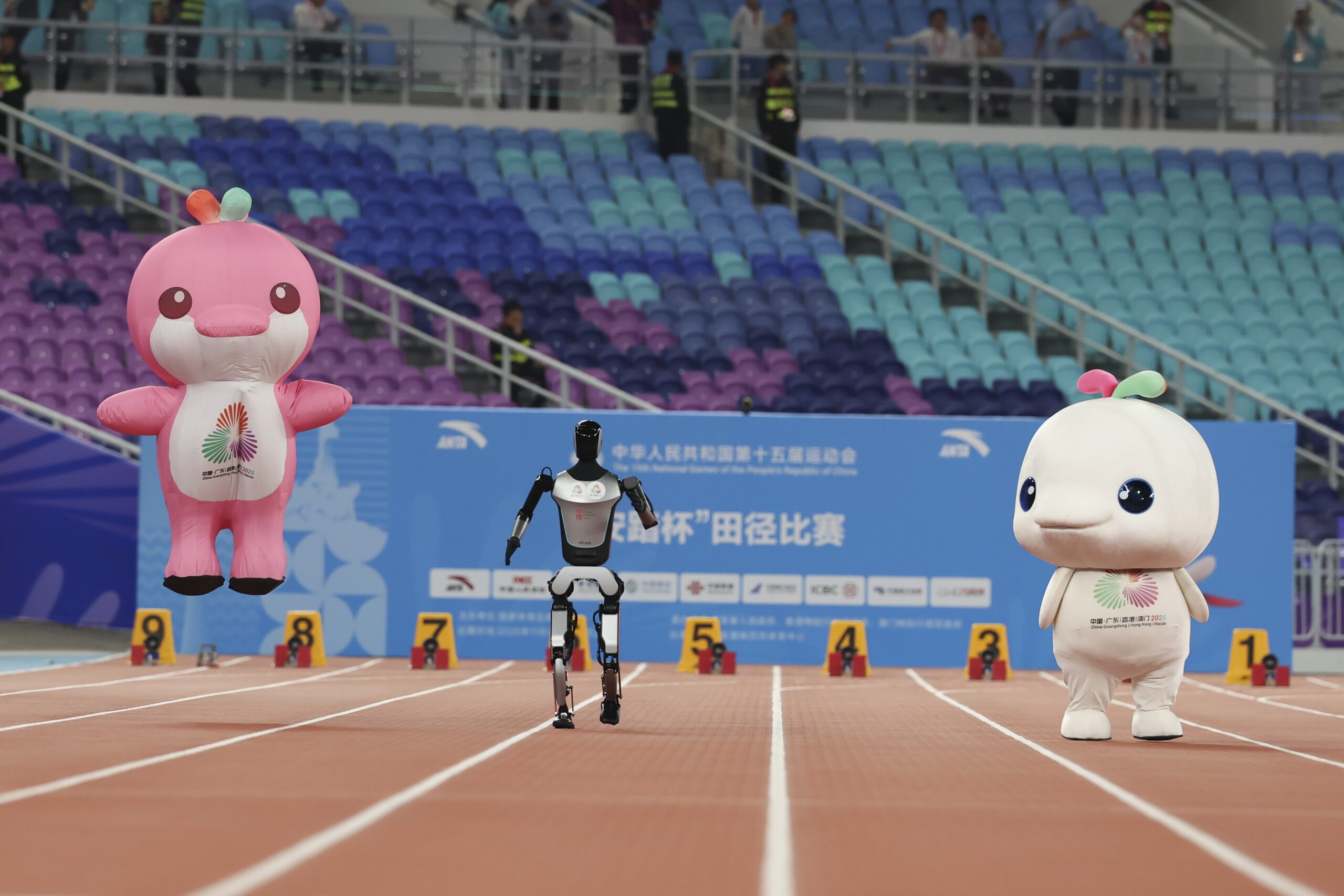 Mascotes chineses viralizam nas redes e levantam debate sobre conservação marinha