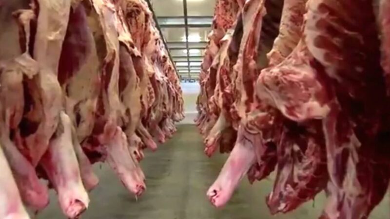 Tarifaço de Trump: fim da taxação de 40% nos EUA deve normalizar exportações de café e carne em MS