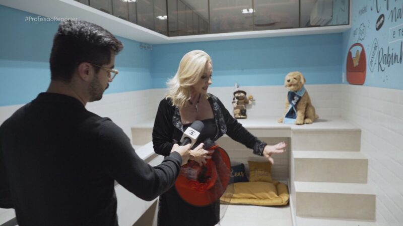 Piscina cinematográfica, suíte para pets, cinema de shopping: veja o que há de luxo em mansões milionárias à venda no Brasil; VÍDEO