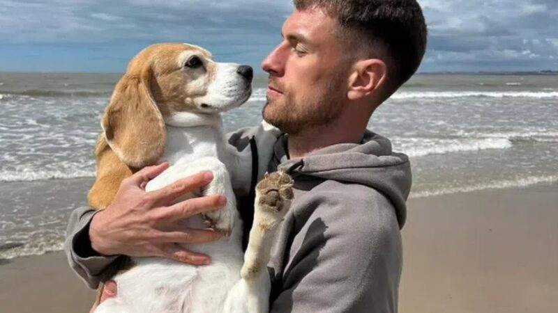 Ex-Arsenal é dispensado no México após se ausentar para procurar animal de estimação desaparecido