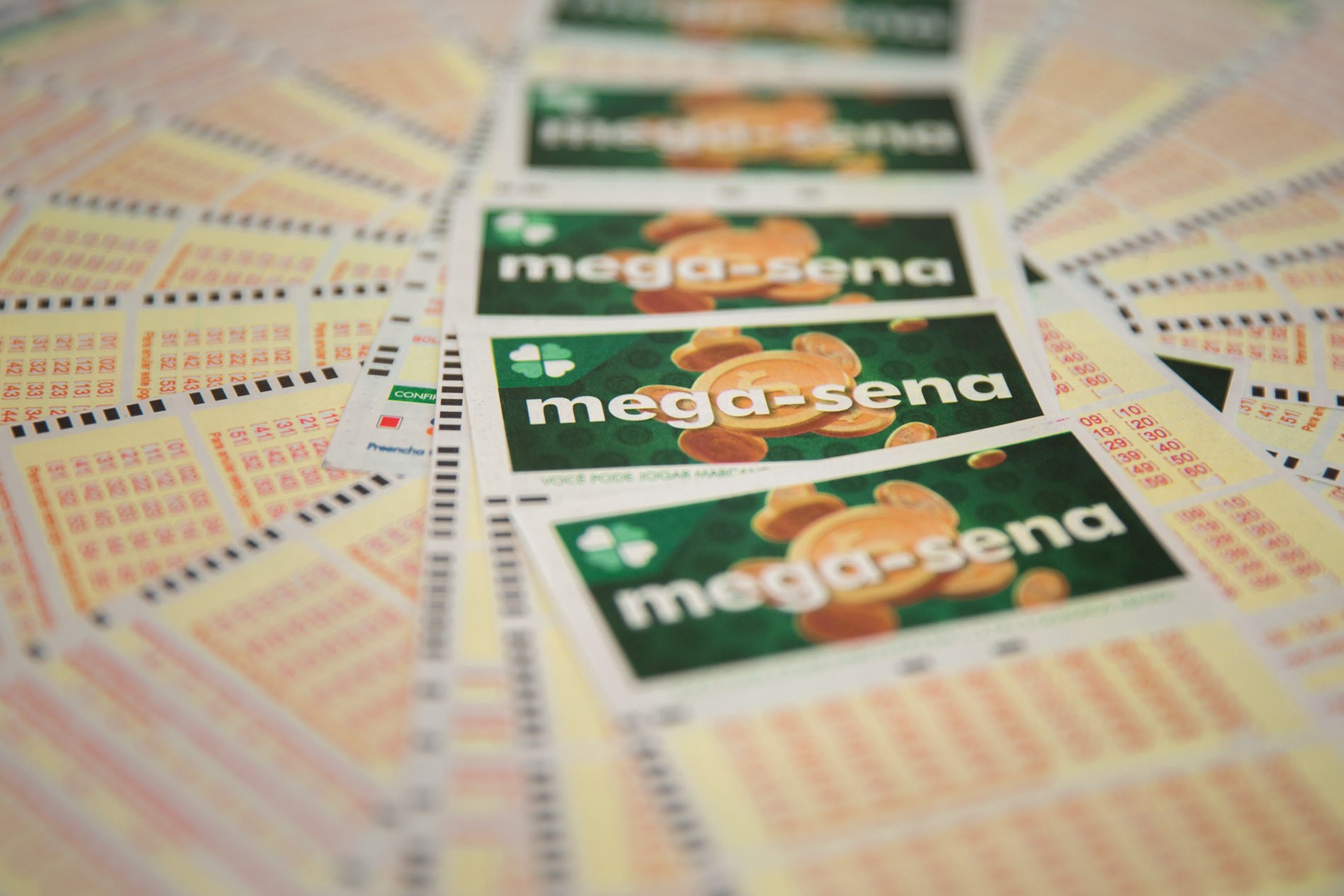 Mega-Sena, concurso 2.942: prêmio acumula e vai a R$ 18 milhões