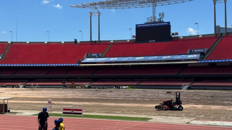 São Paulo inicia troca de gramado do Morumbis após shows; veja imagens