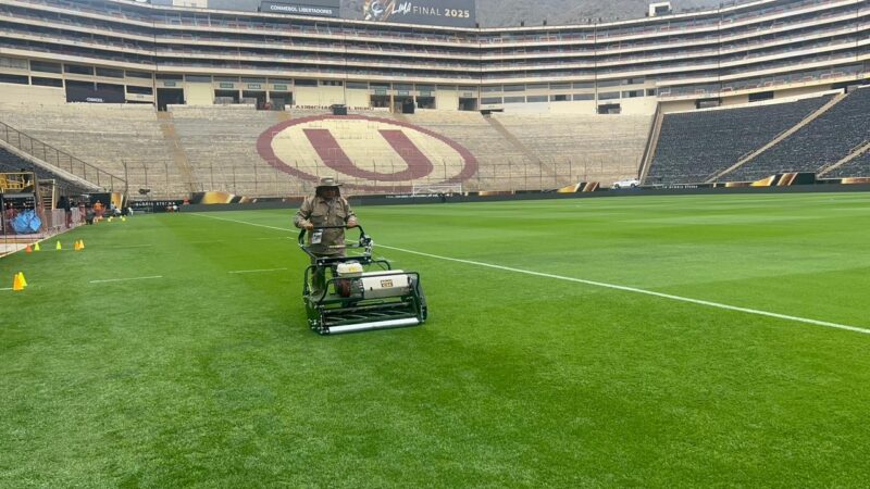 Veja como está o gramado do Monumental antes de Palmeiras x Flamengo pela Libertadores