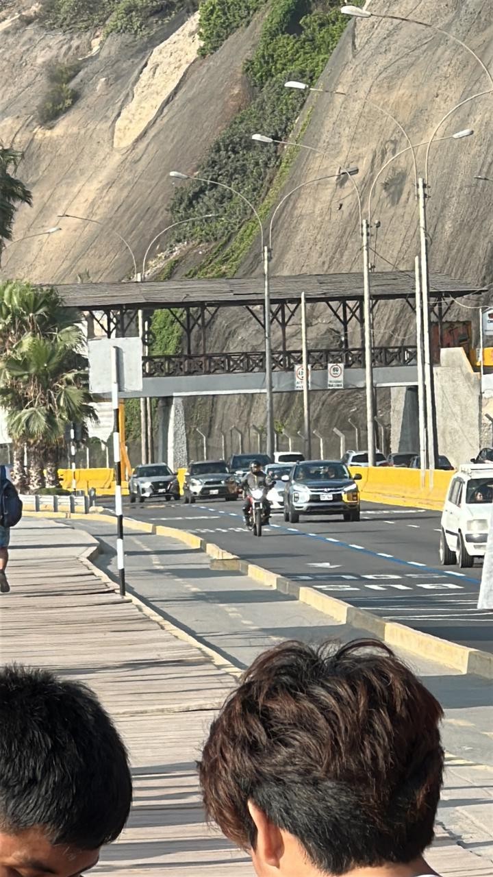 Torcedor do Palmeiras morre em Lima antes da final da Libertadores