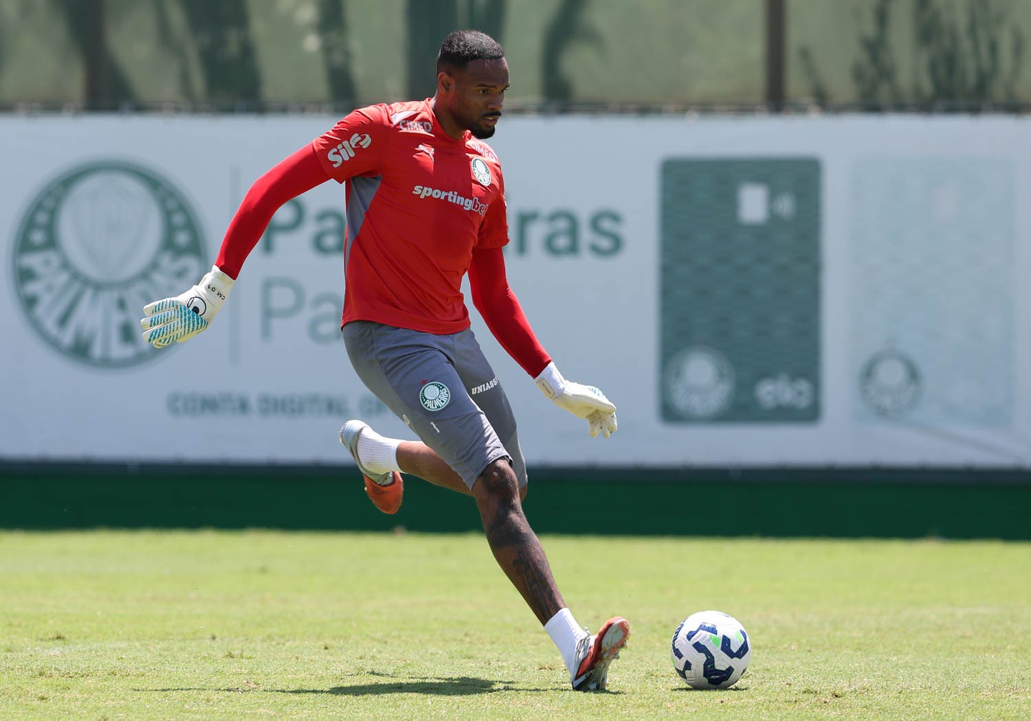 Carlos Miguel faz balanço do ano no Palmeiras e projeta 2026: “Temos uma base muito sólida”
