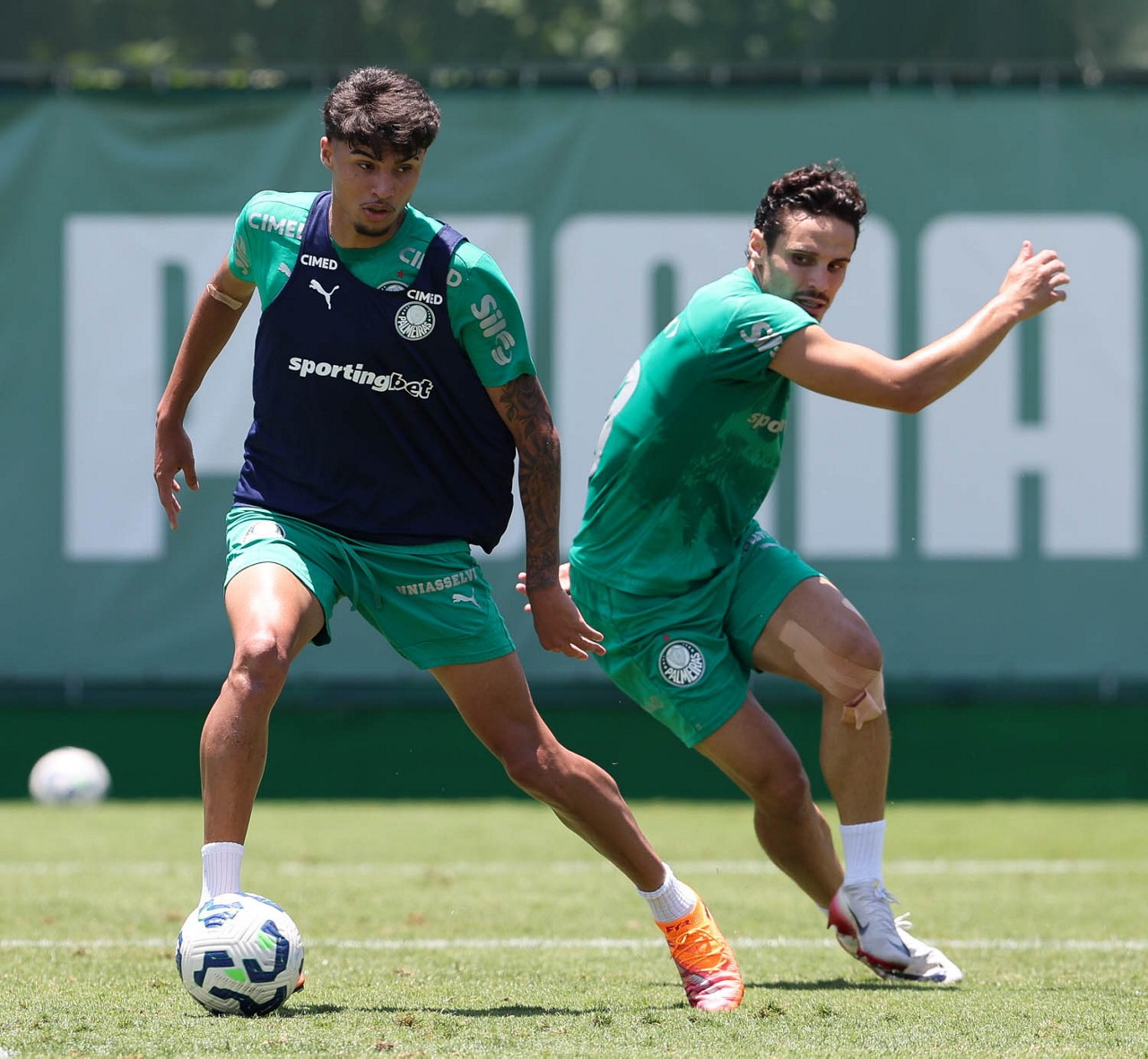 Garotos da base devem ganhar chance com Abel no Palmeiras no início do Paulistão; veja favoritos