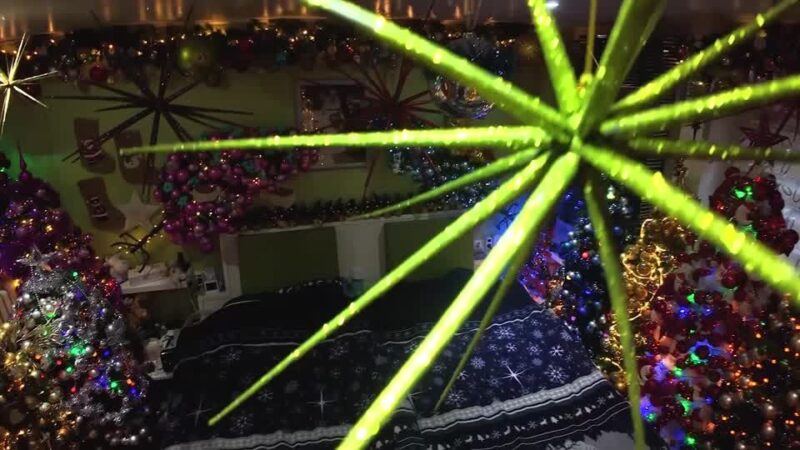 Casal da Alemanha bate recorde ao montar 621 árvores de Natal dentro de casa