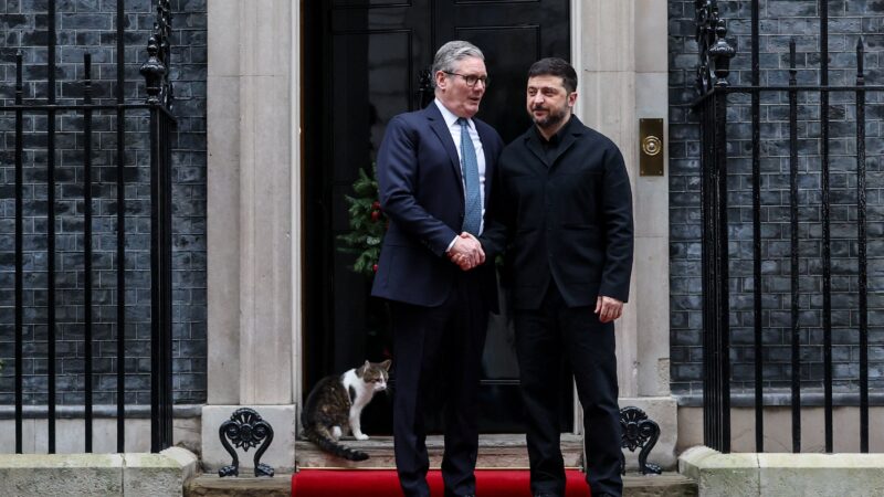 Gato Larry rouba a cena em recepção de premiê britânico a Zelensky para discutir guerra na Ucrânia; FOTOS