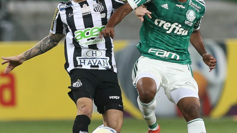 Lembra dele? Botafogo-SP contrata volante campeão pelo Palmeiras