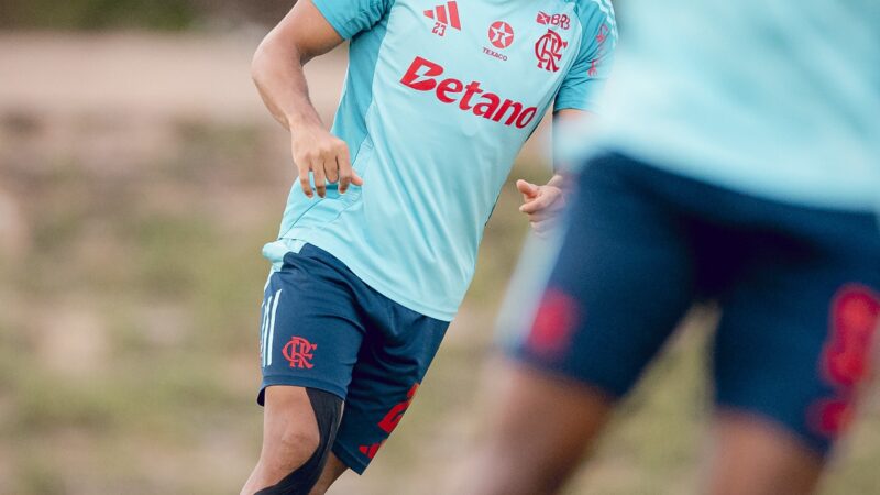 Flamengo sela venda de Juninho para o Pumas, do México