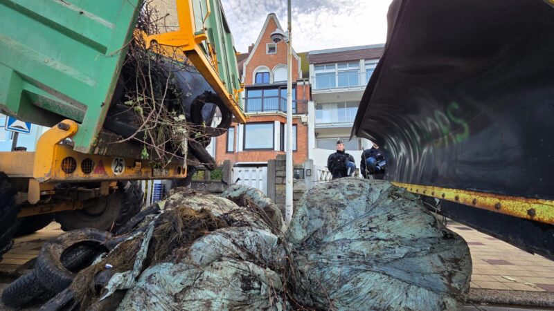Agricultores despejam esterco e lixo em frente à casa de praia de Macron em protesto contra acordo UE-Mercosul