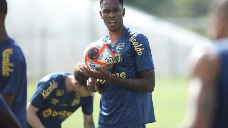Santos negocia empréstimo do zagueiro Luisão para o Goiás